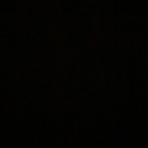 Meet your Posher, Maya